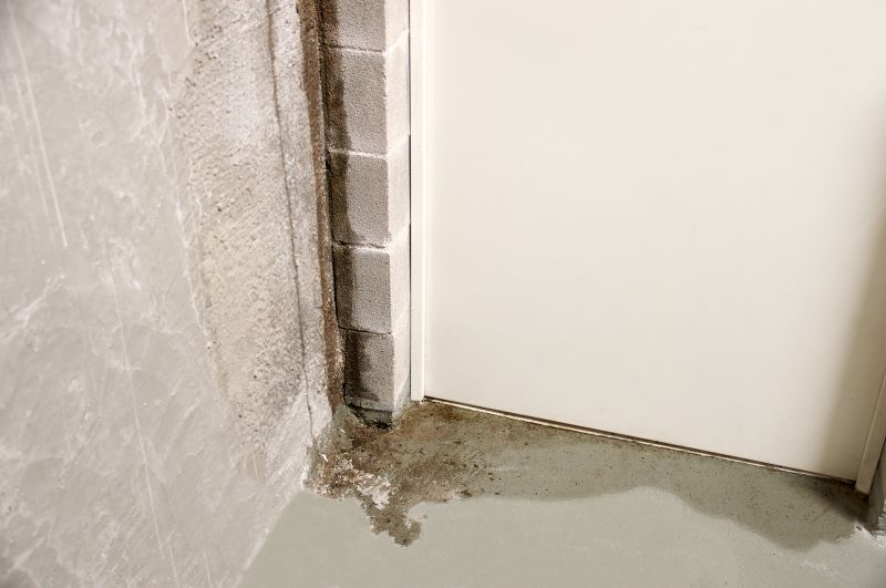 Basement Wall Damage